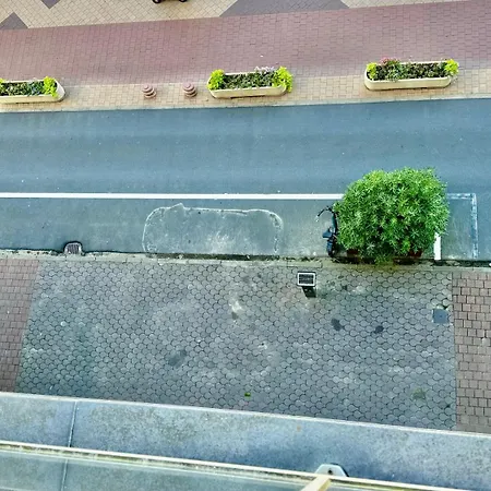 Vue Mer, Famille, Teletravail, Chiens Admis & Garage شقة كنوك هايست