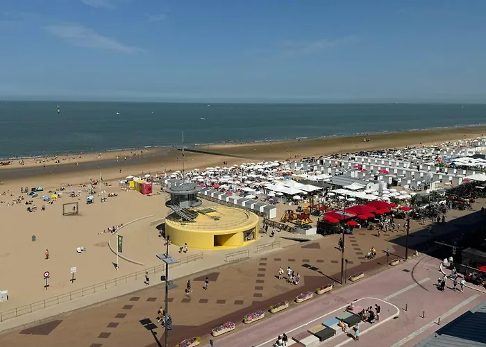 Vue Mer, Famille, Teletravail, Chiens Admis & Garage